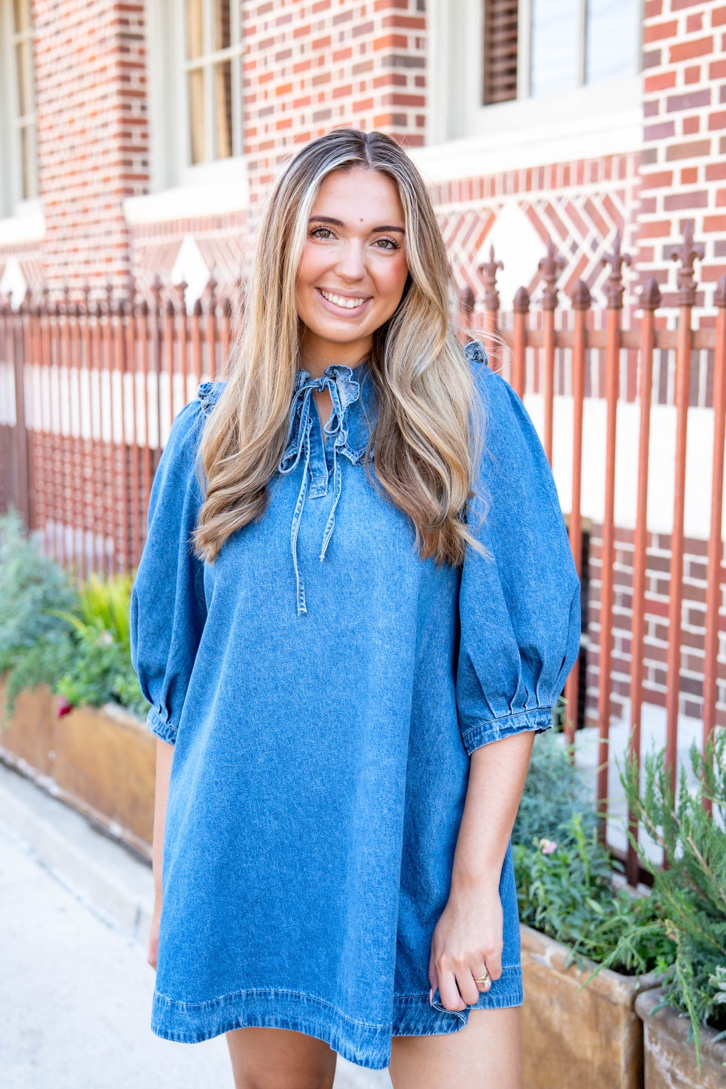 Ella Denim Dress